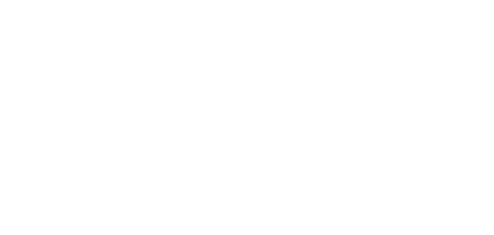 Anna Lisa Bellini